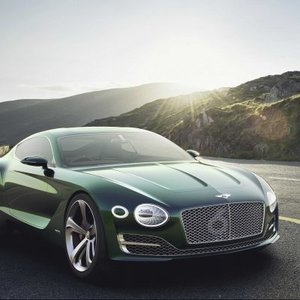 В скором времени появятся особые автомобили Bentley для зажиточных веганов