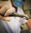 В Петербурге алчный стоматолог удалил пациентке 22 здоровых зуба