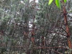 Синоптики предупреждают о дожде и граде