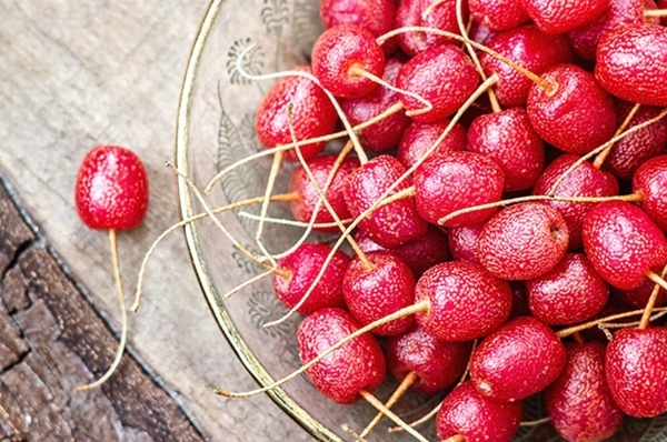«Осенняя ягода» оказалась эффективным средством против высокого сахара и холестерина
