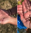 Женщина поиграла с осьминогом и проплакала три часа, узнав о смертельной опасности: видео