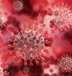 Срок действия ПЦР-тестов в России ограничат 48 часами из-за нового штамма коронавируса