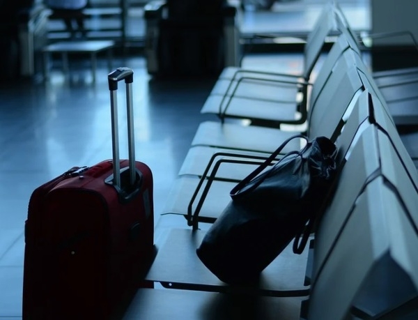 Авиакомпании ищут способ подзаработать на пассажирах без QR-кодов через Думу