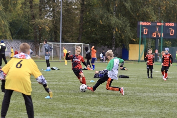 Воробьев объявил о предоставлении 30 грантов спортивным школам Московской области