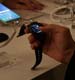 Samsung Galaxy Note 5 и Gear S2 официально представлены в России